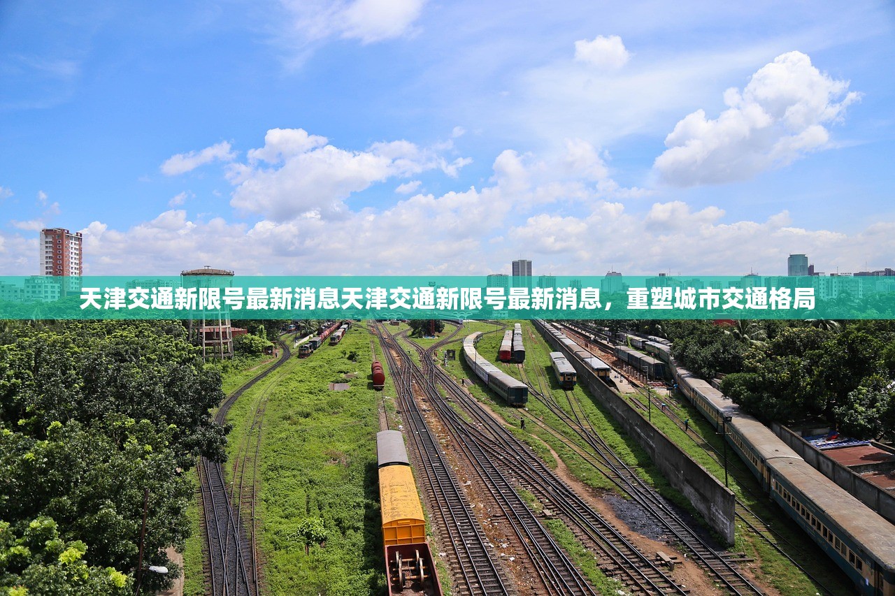 天津交通新限号最新消息天津交通新限号最新消息，重塑城市交通格局  第1张