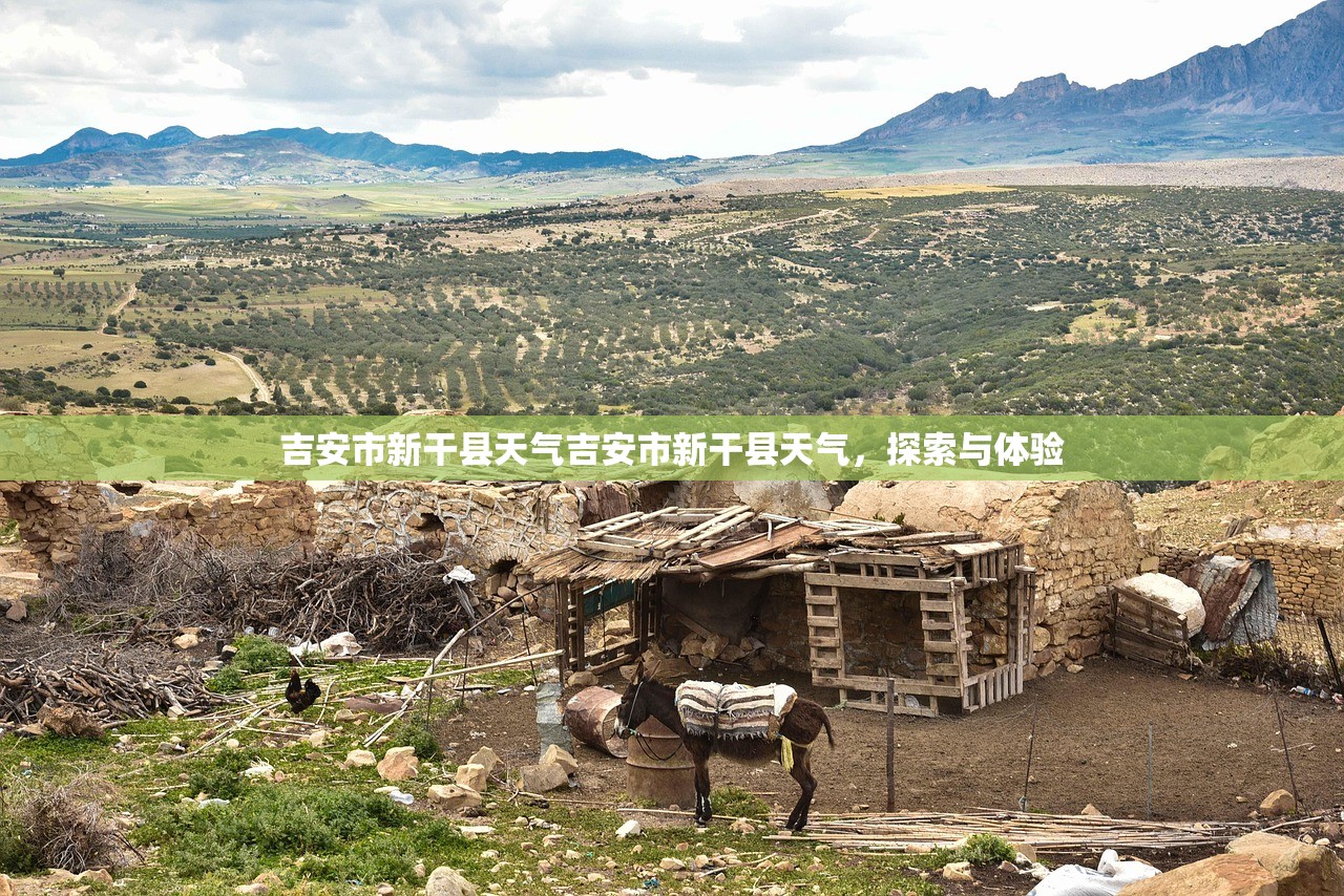 吉安市新干县天气吉安市新干县天气，探索与体验  第1张