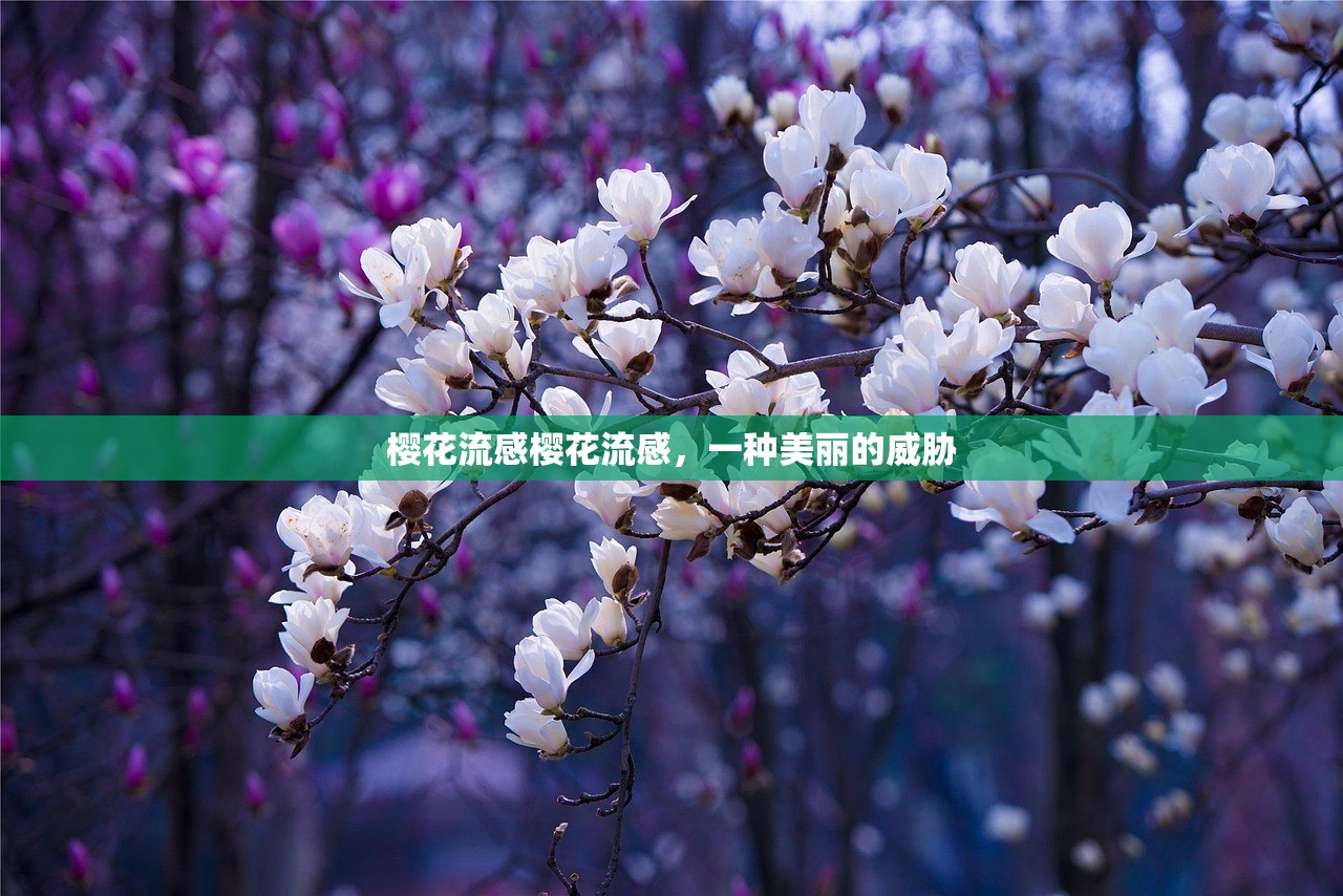 樱花流感樱花流感，一种美丽的威胁  第1张