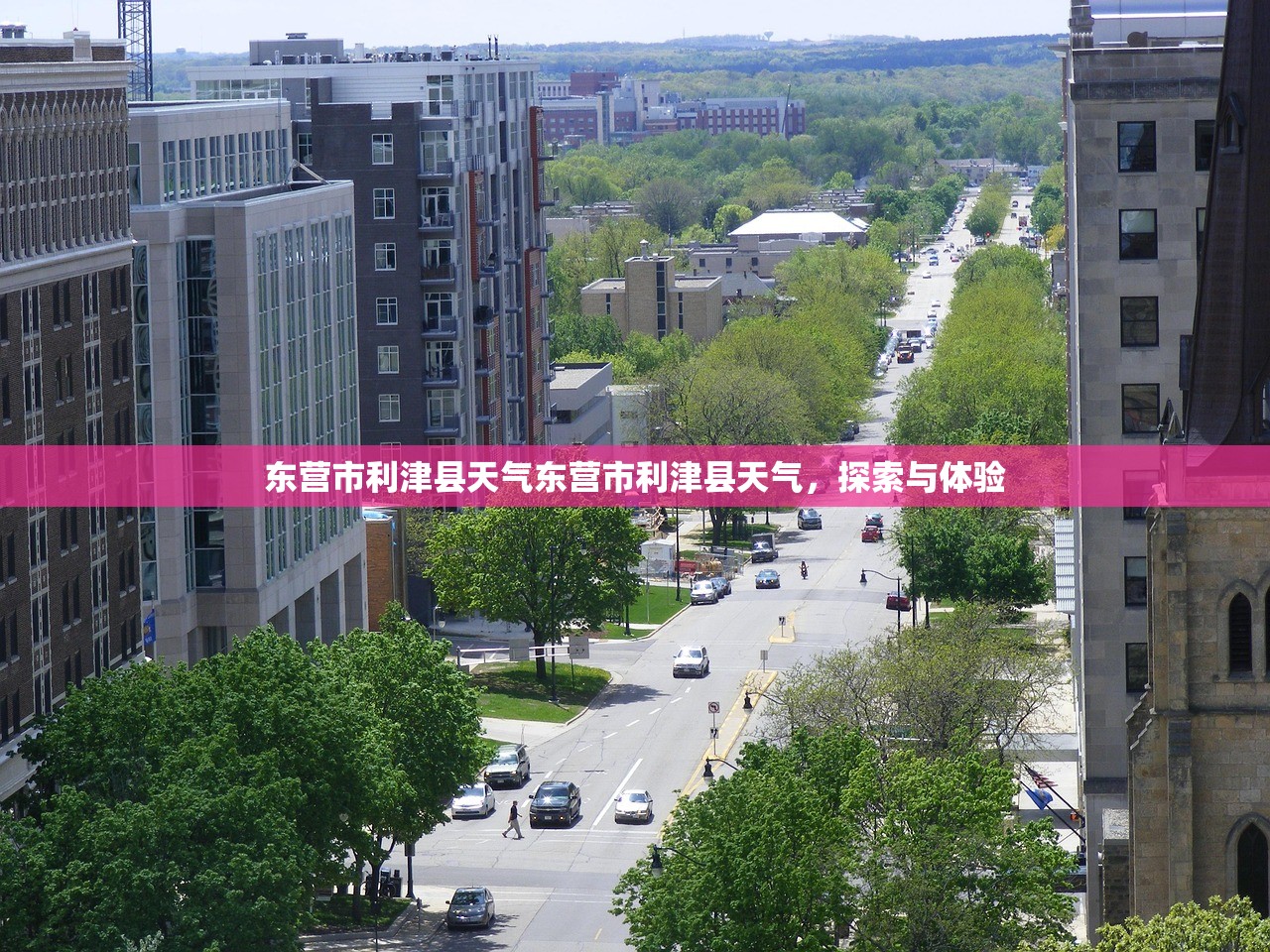 东营市利津县天气东营市利津县天气，探索与体验  第1张