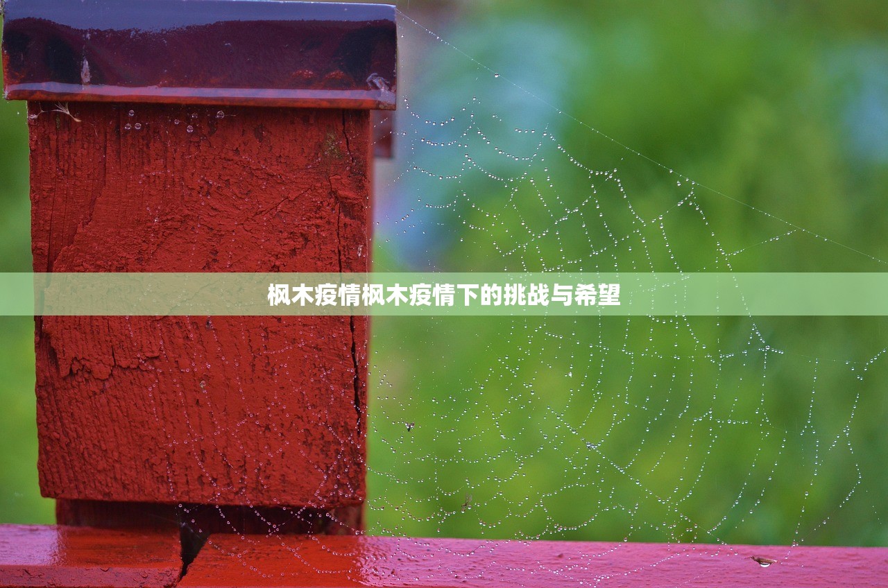 枫木疫情枫木疫情下的挑战与希望  第1张