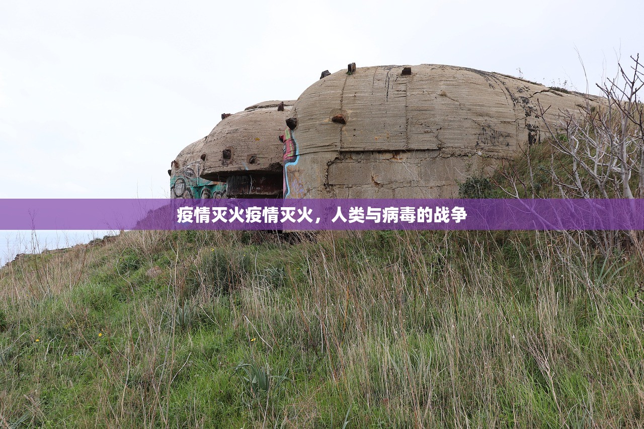 疫情灭火疫情灭火，人类与病毒的战争  第1张