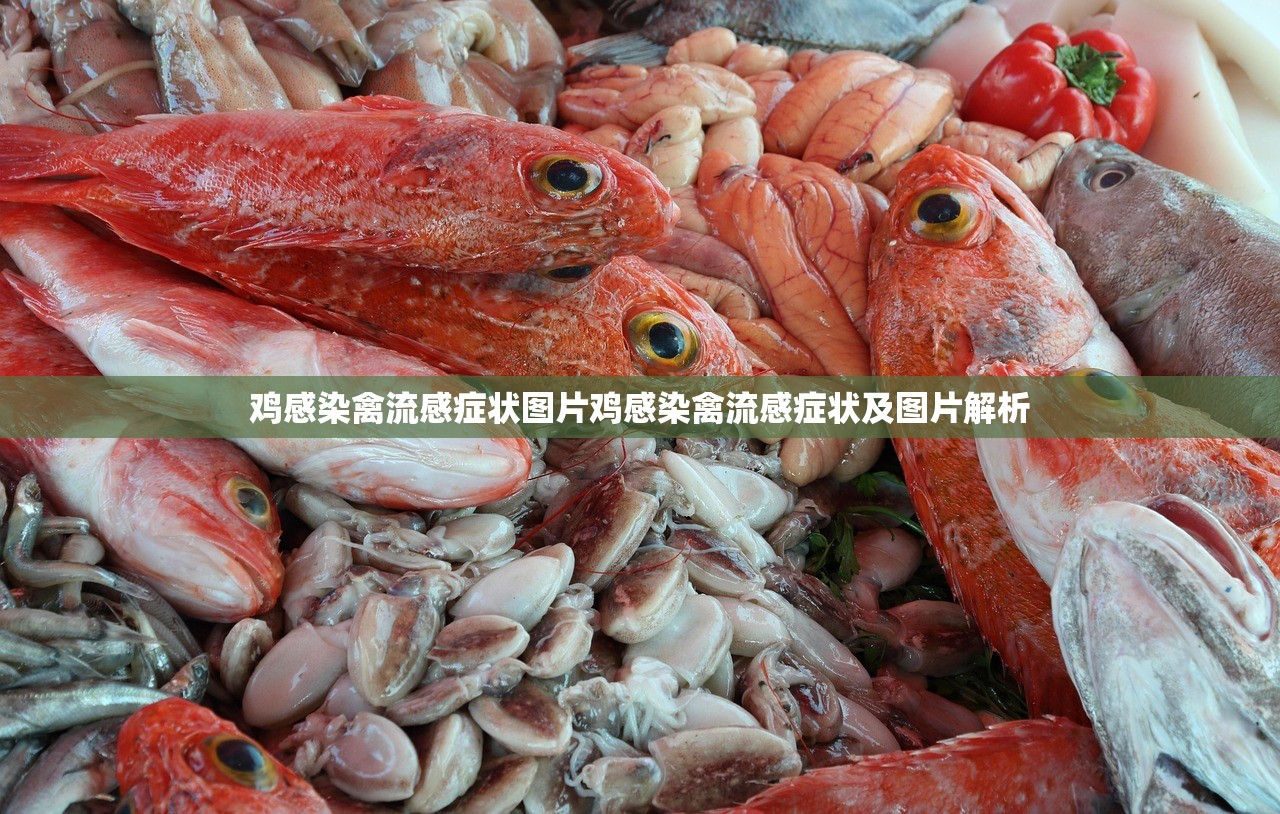 鸡感染禽流感症状图片鸡感染禽流感症状及图片解析  第1张