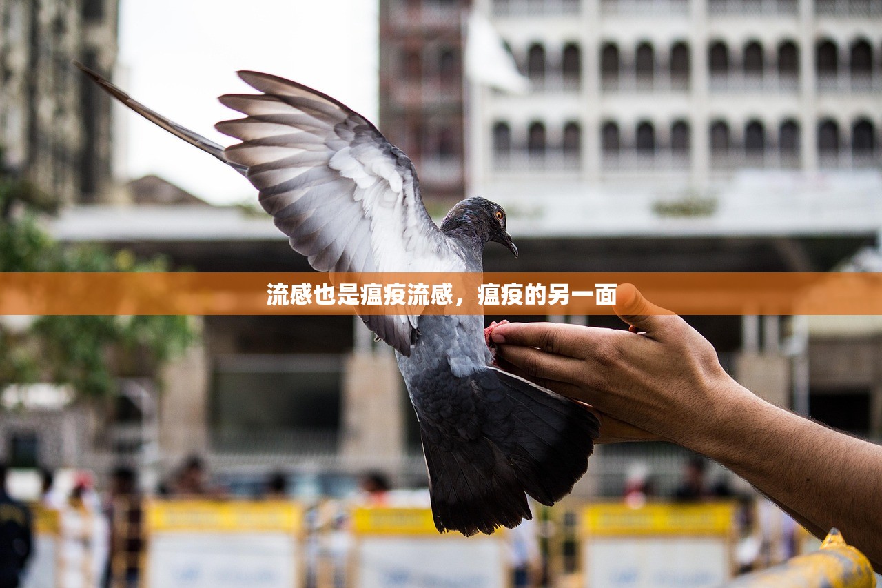 流感也是瘟疫流感，瘟疫的另一面  第1张