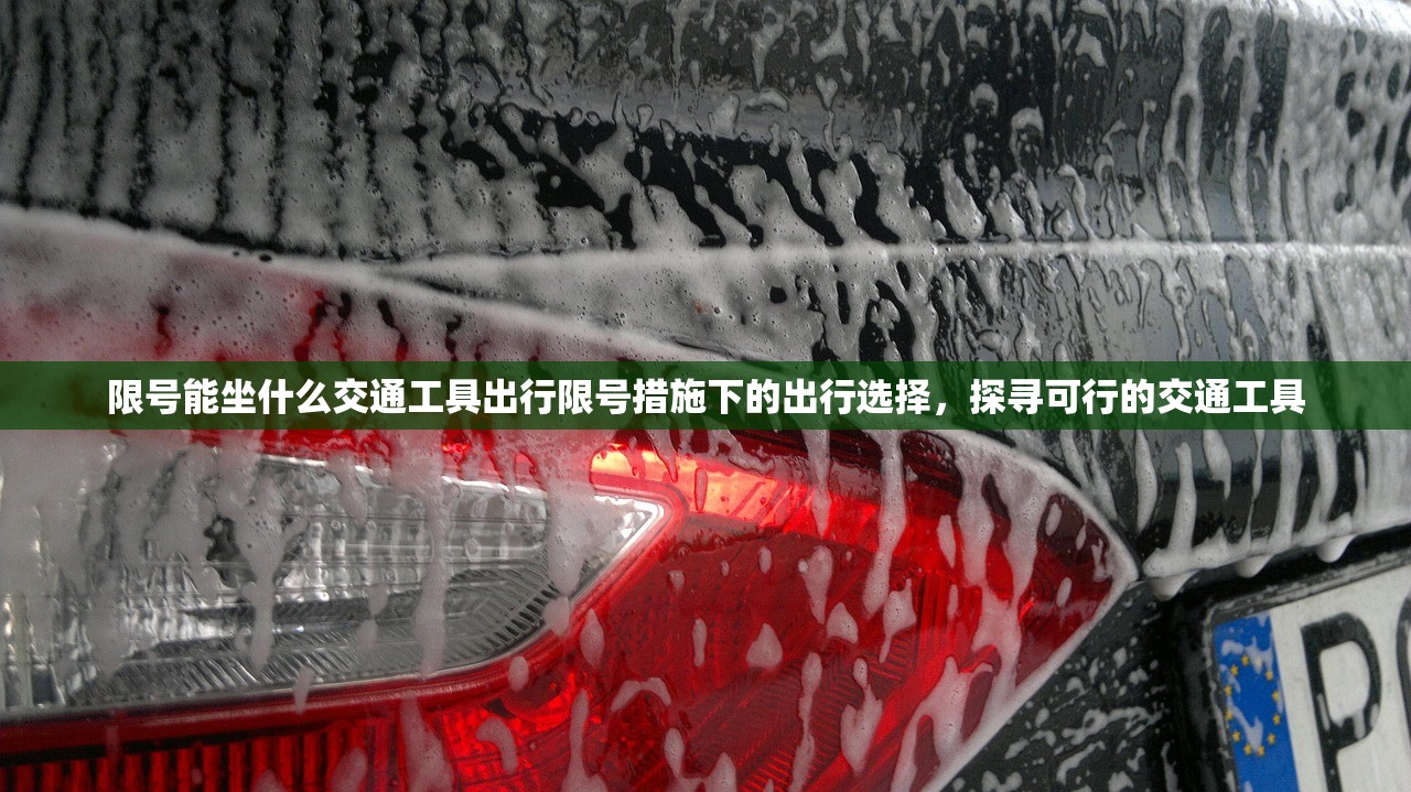 限号能坐什么交通工具出行限号措施下的出行选择，探寻可行的交通工具  第1张