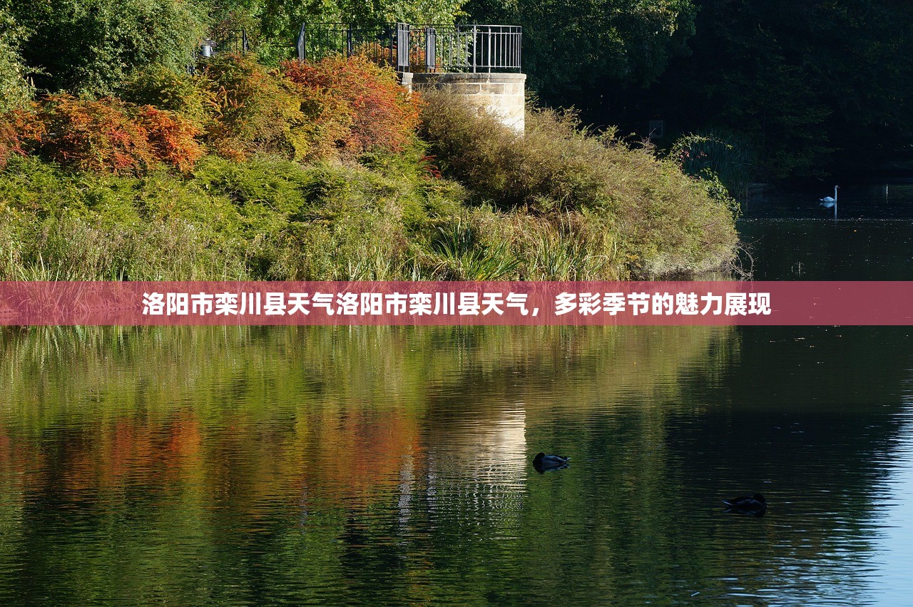 洛阳市栾川县天气洛阳市栾川县天气，多彩季节的魅力展现  第1张