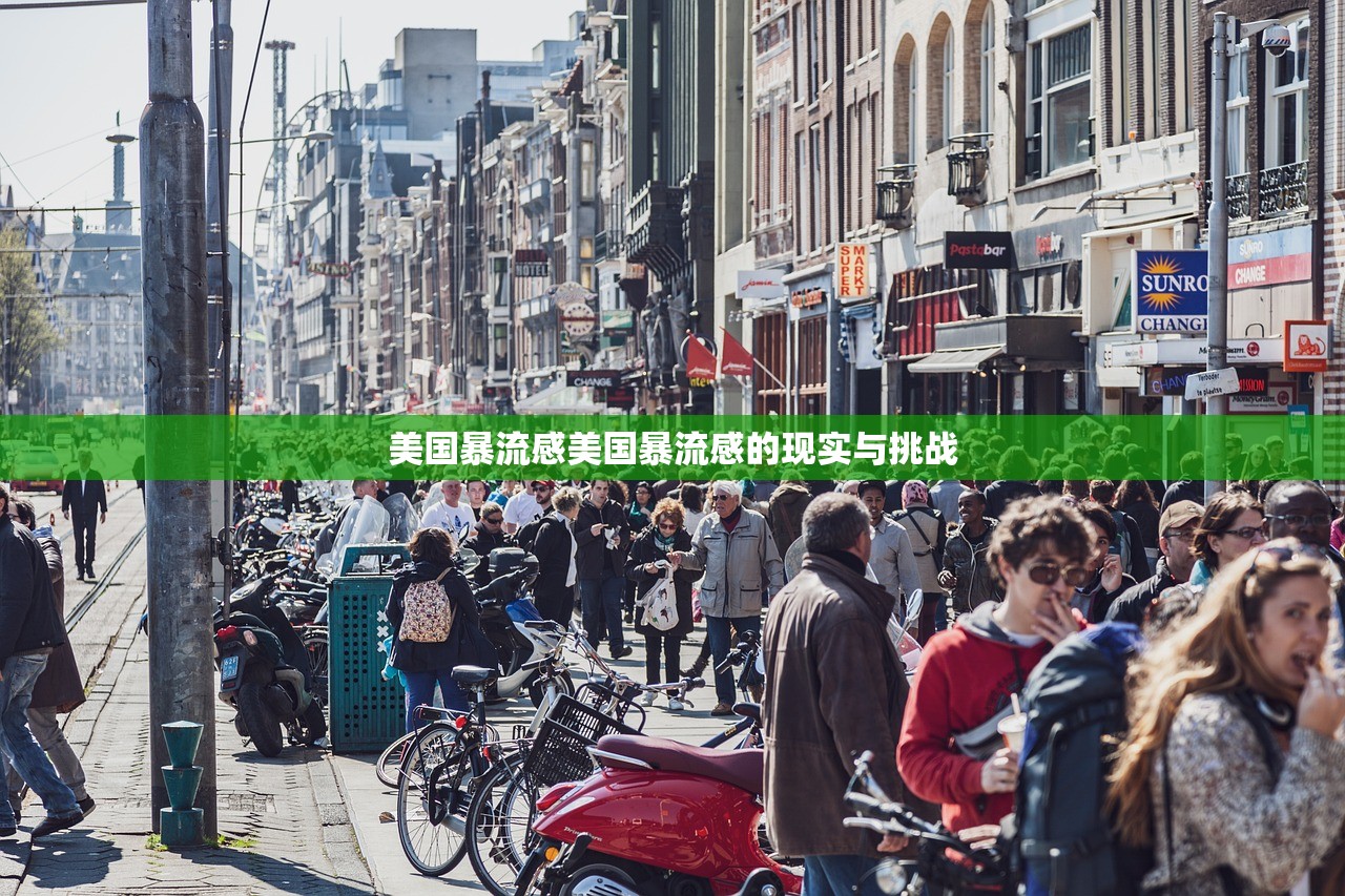 美国暴流感美国暴流感的现实与挑战  第1张