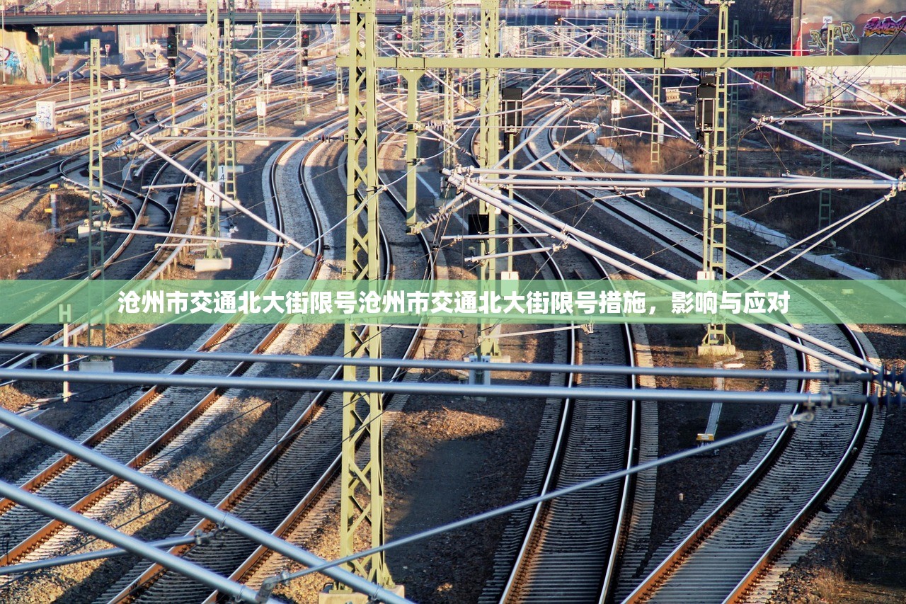 沧州市交通北大街限号沧州市交通北大街限号措施，影响与应对  第1张