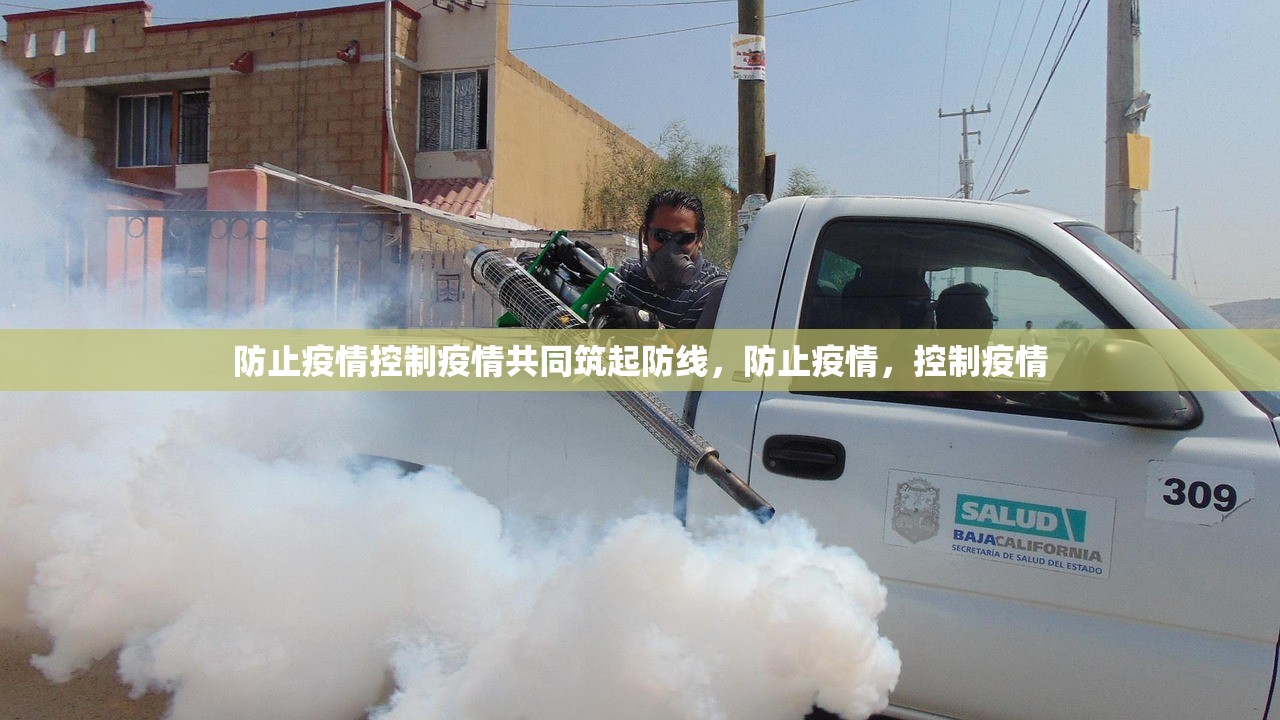 防止疫情控制疫情共同筑起防线，防止疫情，控制疫情  第1张