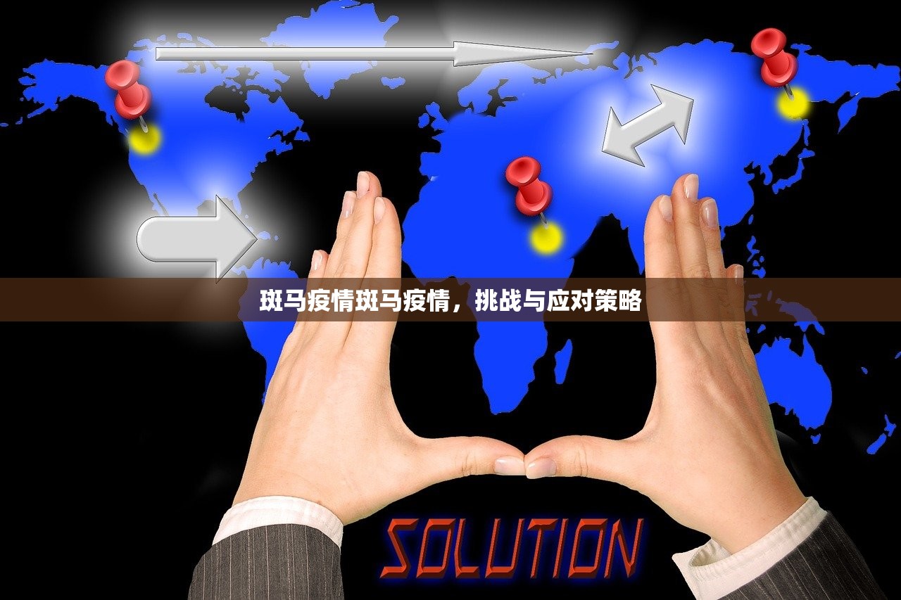 斑马疫情斑马疫情，挑战与应对策略  第1张