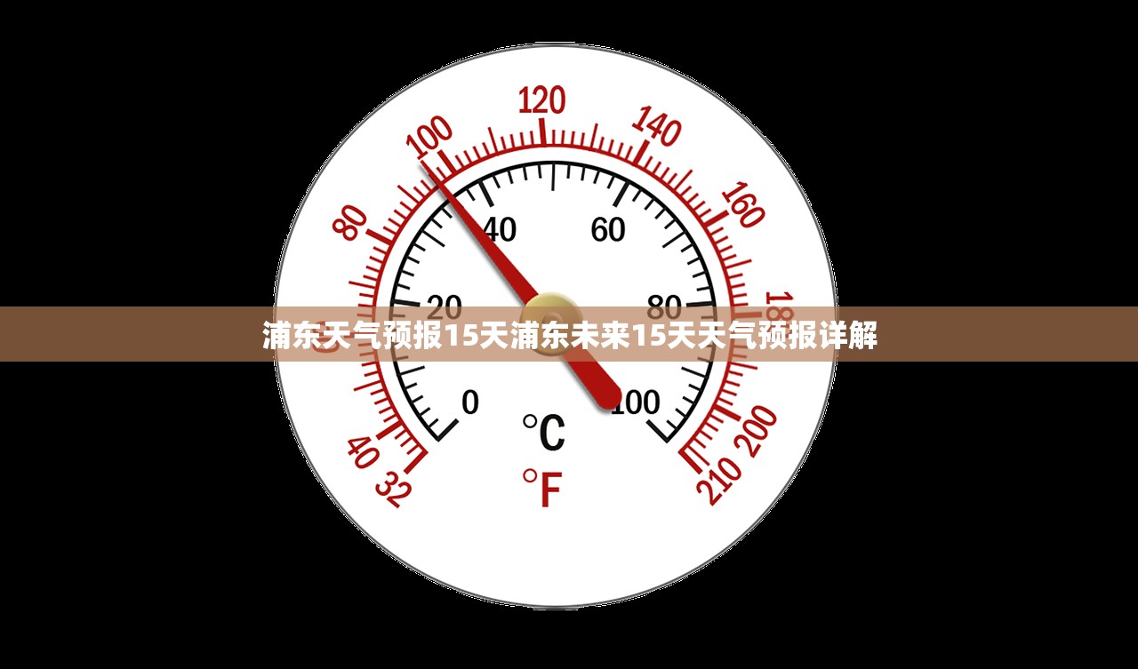 浦东天气预报15天浦东未来15天天气预报详解 第1张 浦东天气预报15天浦东未来15天天气预报详解 第1张
