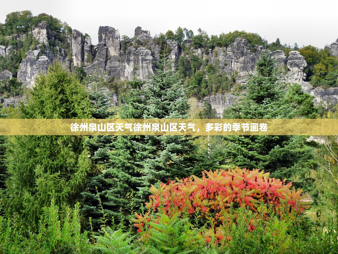 徐州泉山区天气徐州泉山区天气，多彩的季节画卷  第1张