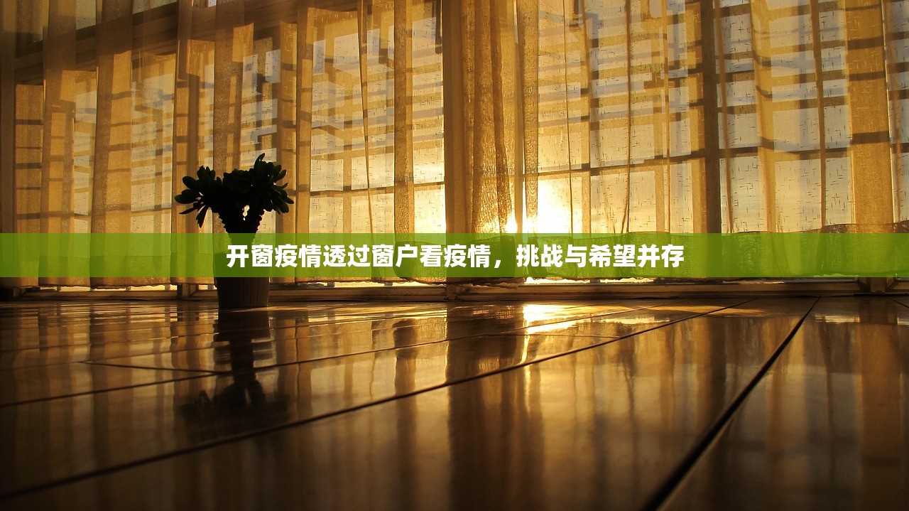 开窗疫情透过窗户看疫情，挑战与希望并存  第1张