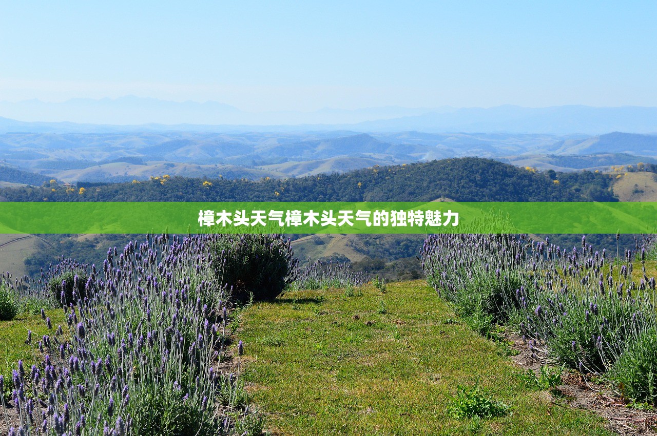 樟木头天气樟木头天气的独特魅力  第1张