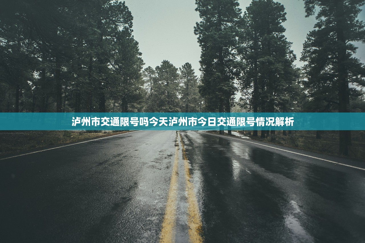 泸州市交通限号吗今天泸州市今日交通限号情况解析  第1张