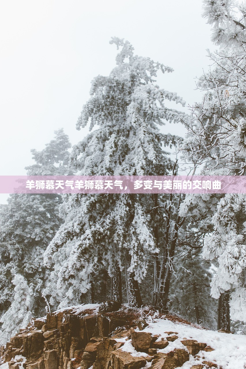 羊狮慕天气羊狮慕天气，多变与美丽的交响曲  第1张