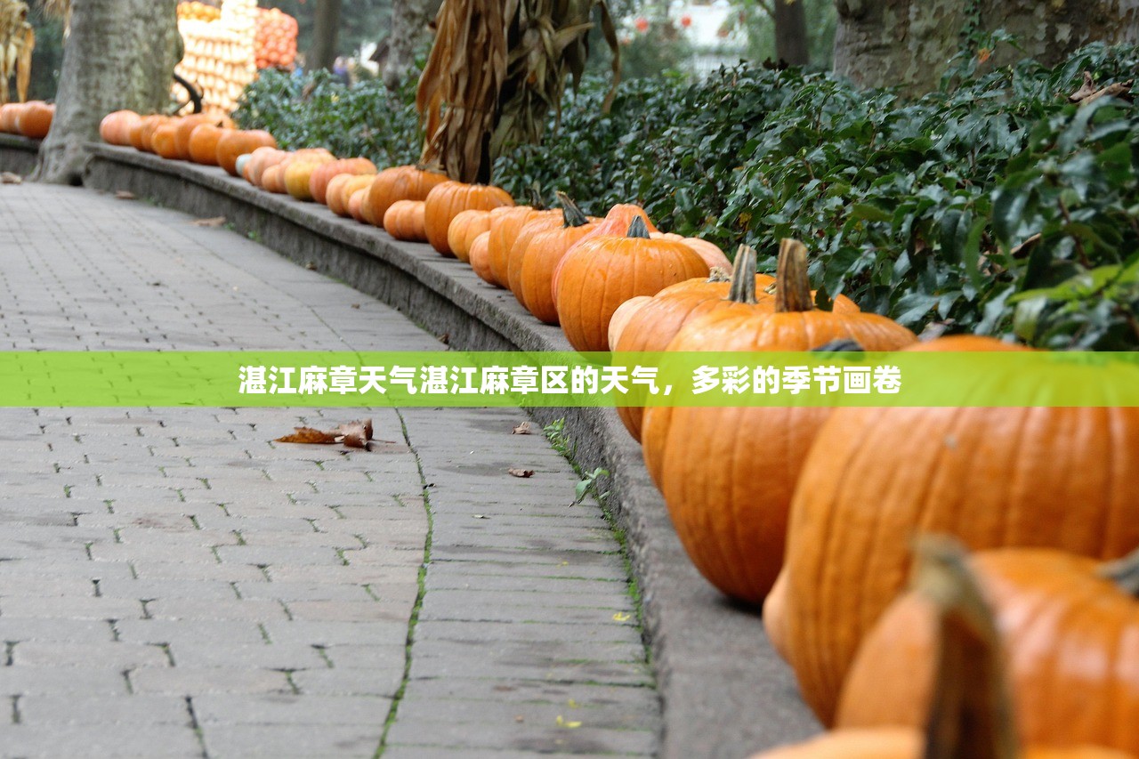湛江麻章天气湛江麻章区的天气，多彩的季节画卷  第1张