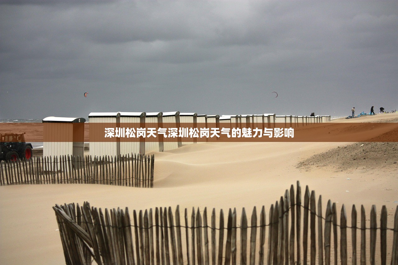 深圳松岗天气深圳松岗天气的魅力与影响  第1张