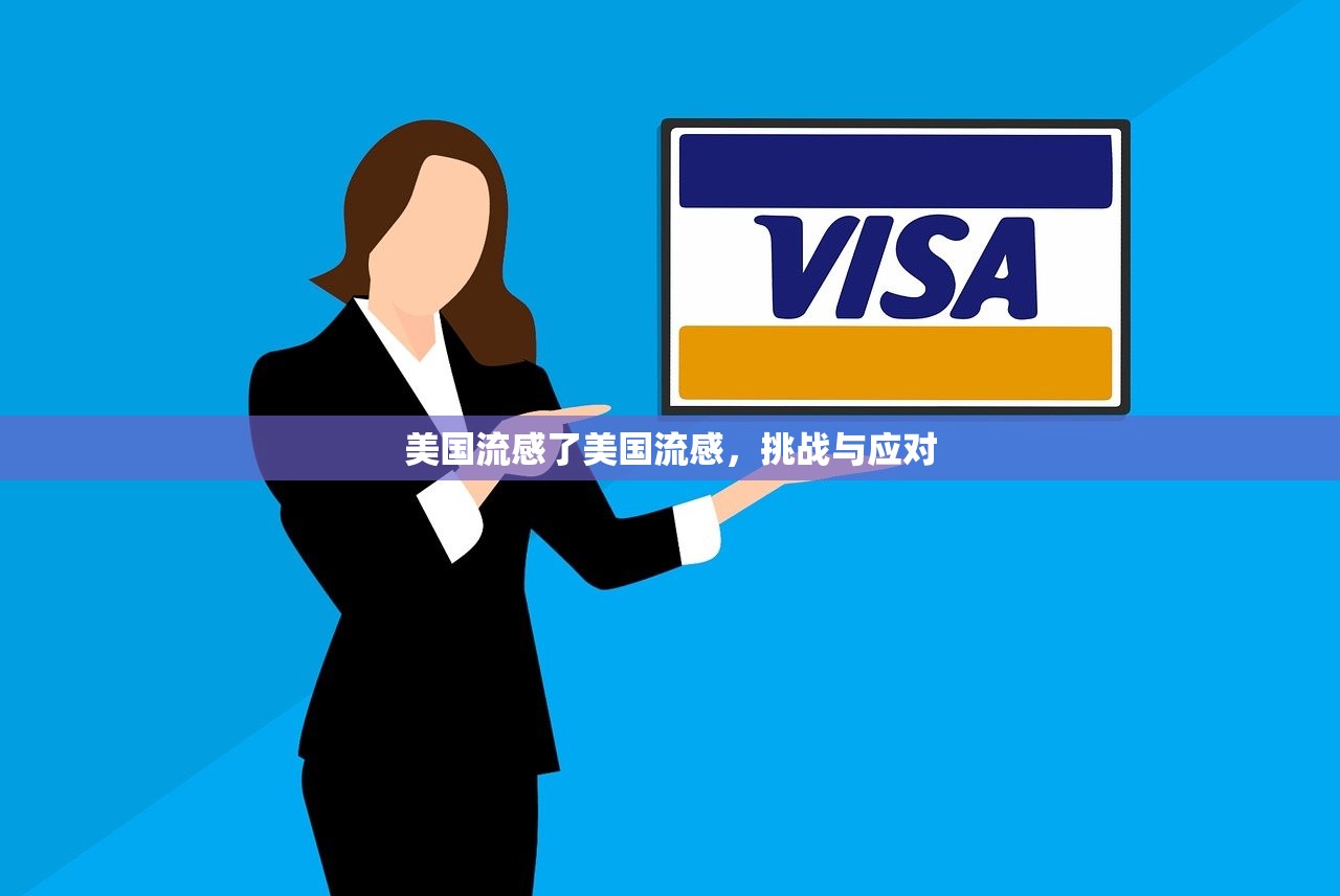 美国流感了美国流感，挑战与应对  第1张