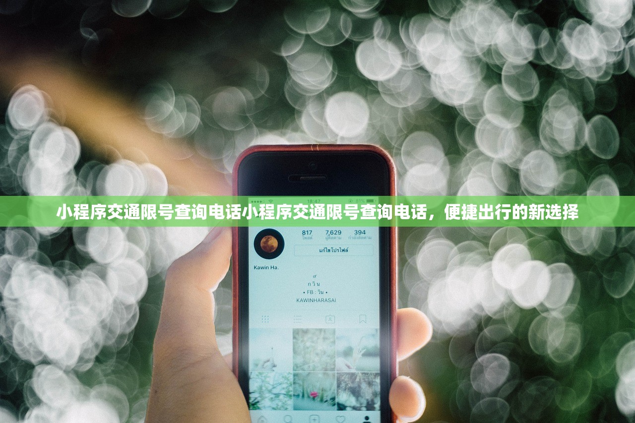 小程序交通限号查询电话小程序交通限号查询电话，便捷出行的新选择  第1张