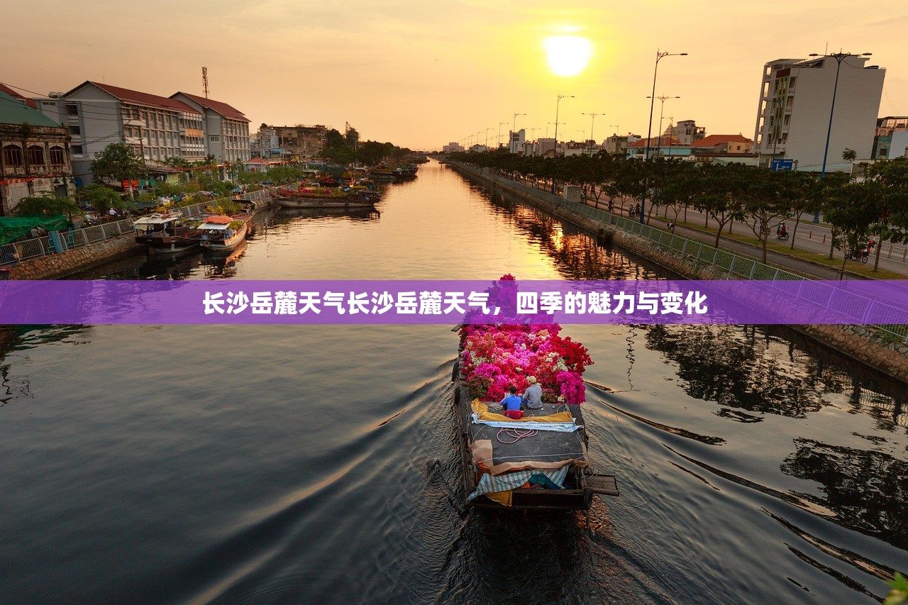 长沙岳麓天气长沙岳麓天气，四季的魅力与变化  第1张