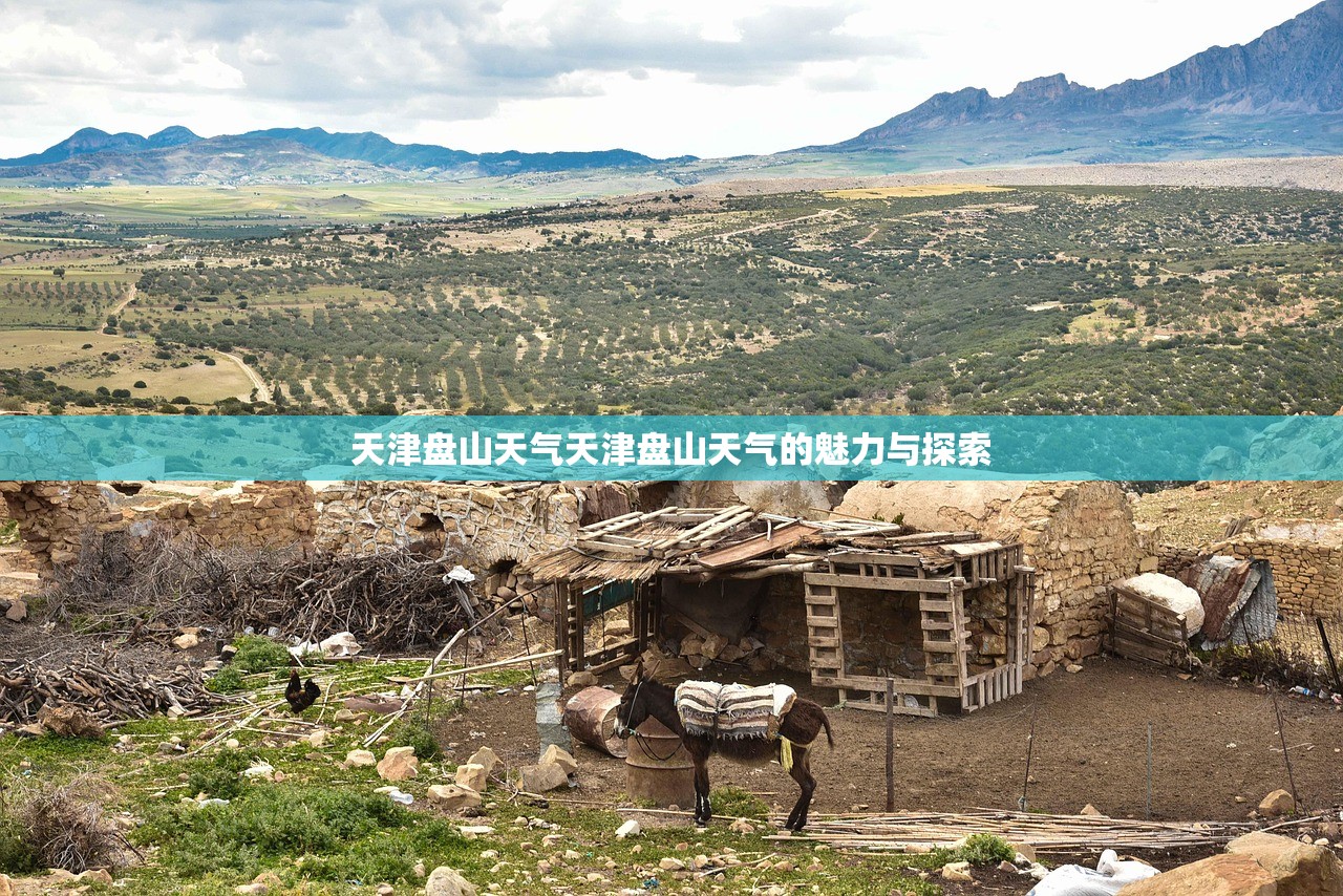 天津盘山天气天津盘山天气的魅力与探索  第1张