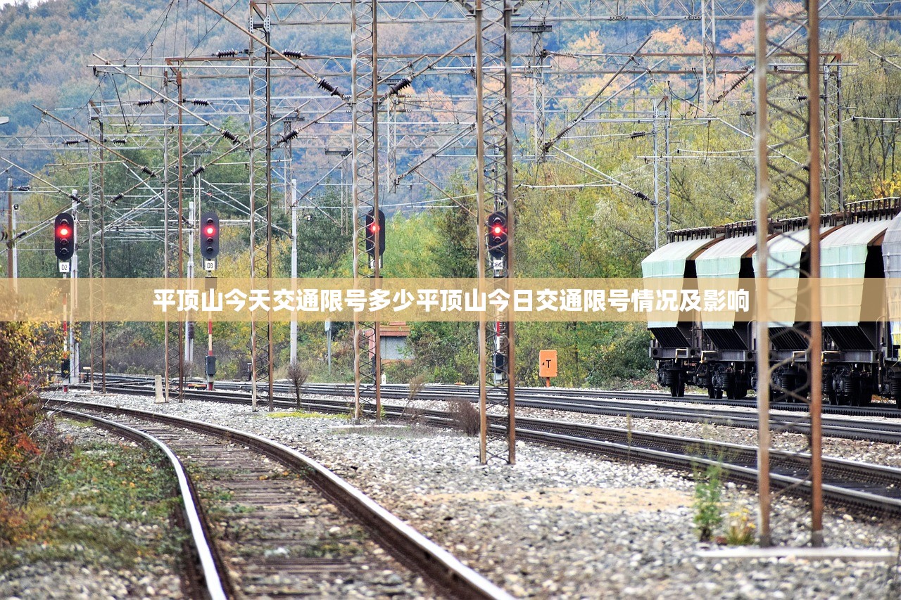 平顶山今天交通限号多少平顶山今日交通限号情况及影响 第1张 平顶山今天交通限号多少平顶山今日交通限号情况及影响 第1张