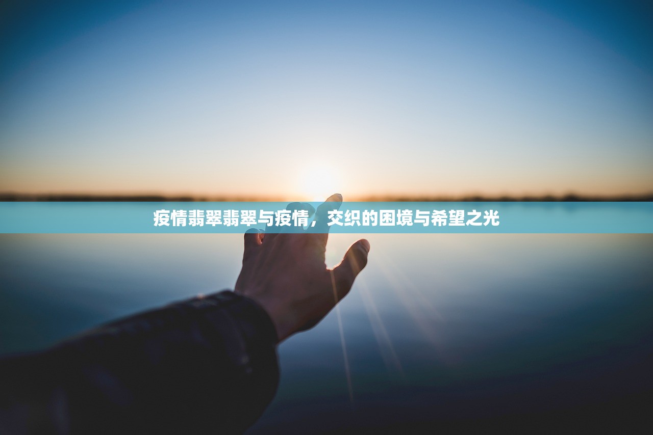 疫情翡翠翡翠与疫情，交织的困境与希望之光  第1张