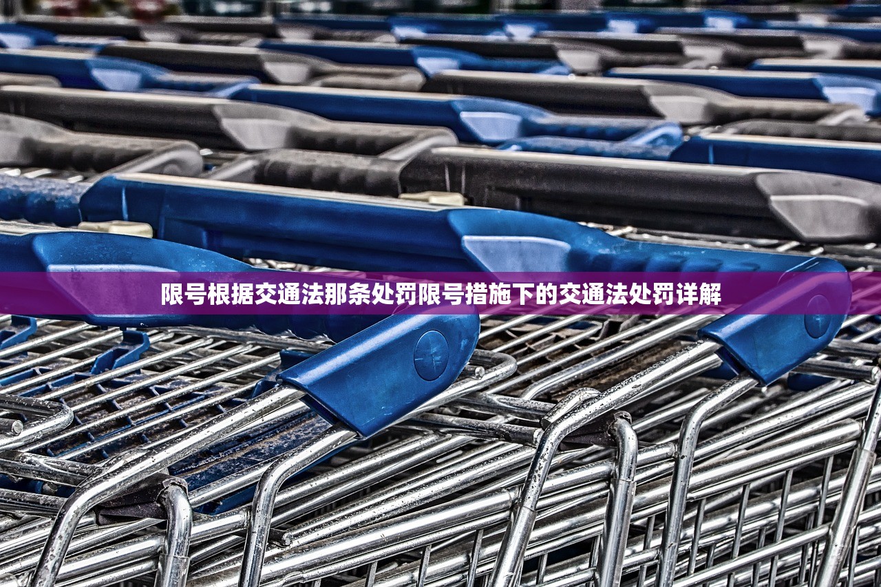 限号根据交通法那条处罚限号措施下的交通法处罚详解  第1张