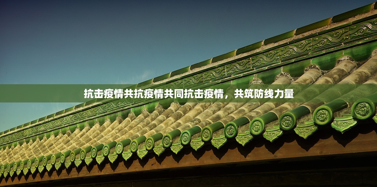 抗击疫情共抗疫情共同抗击疫情，共筑防线力量  第1张