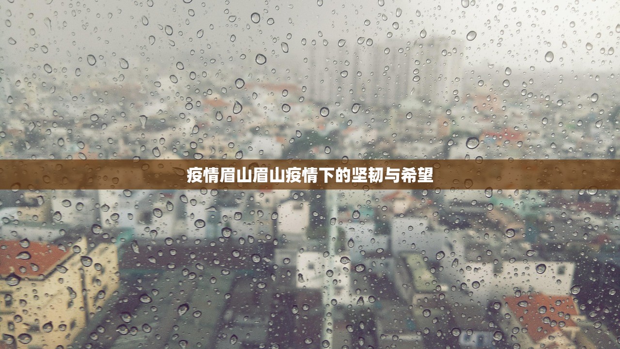 疫情眉山眉山疫情下的坚韧与希望  第1张
