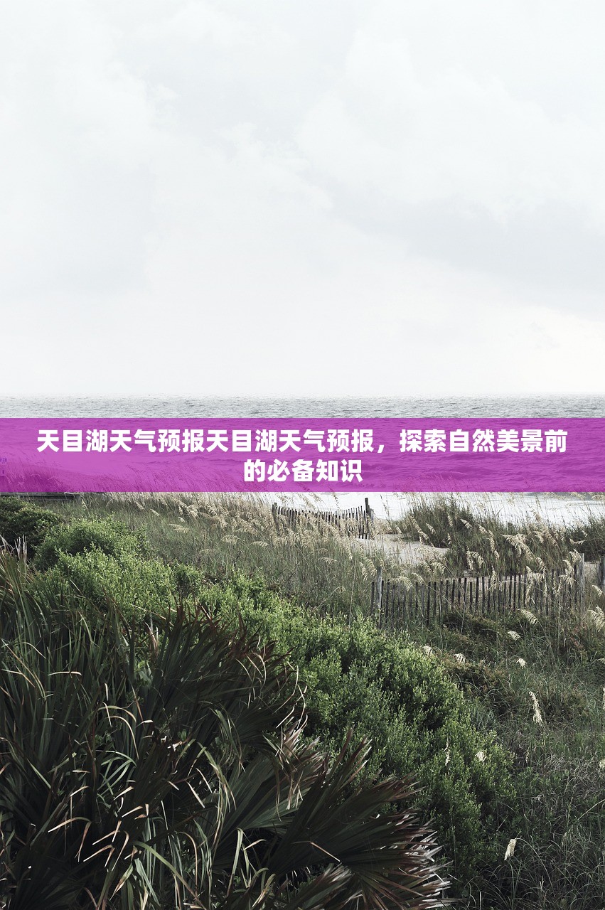 天目湖天气预报天目湖天气预报，探索自然美景前的必备知识  第1张