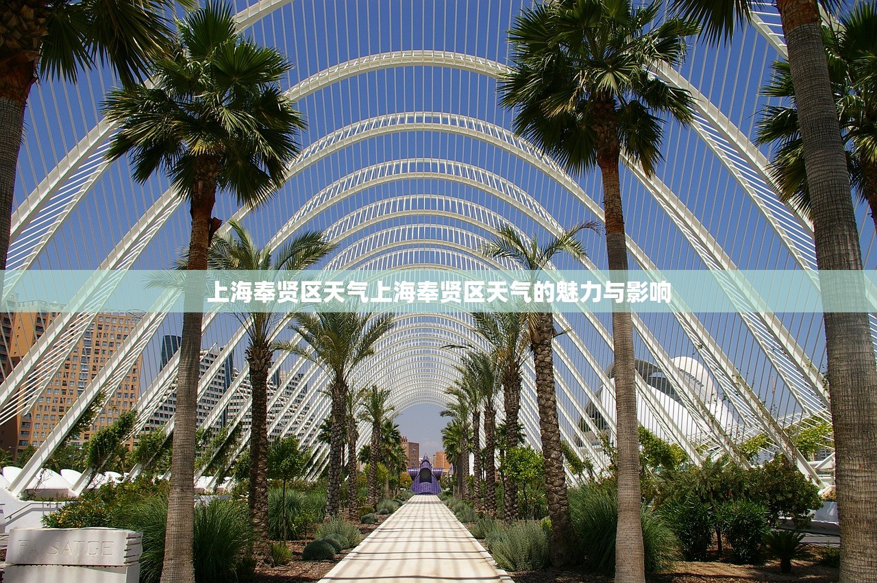 上海奉贤区天气上海奉贤区天气的魅力与影响  第1张