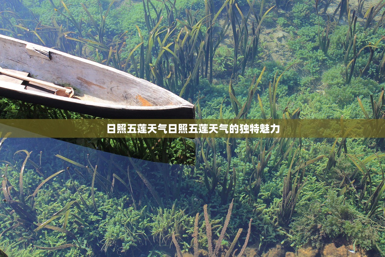 日照五莲天气日照五莲天气的独特魅力  第1张