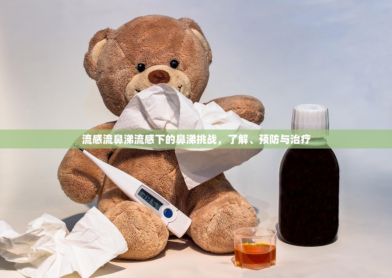 流感流鼻涕流感下的鼻涕挑战,了解、预防与治疗 第1张 流感流鼻涕流感下的鼻涕挑战,了解、预防与治疗 第1张