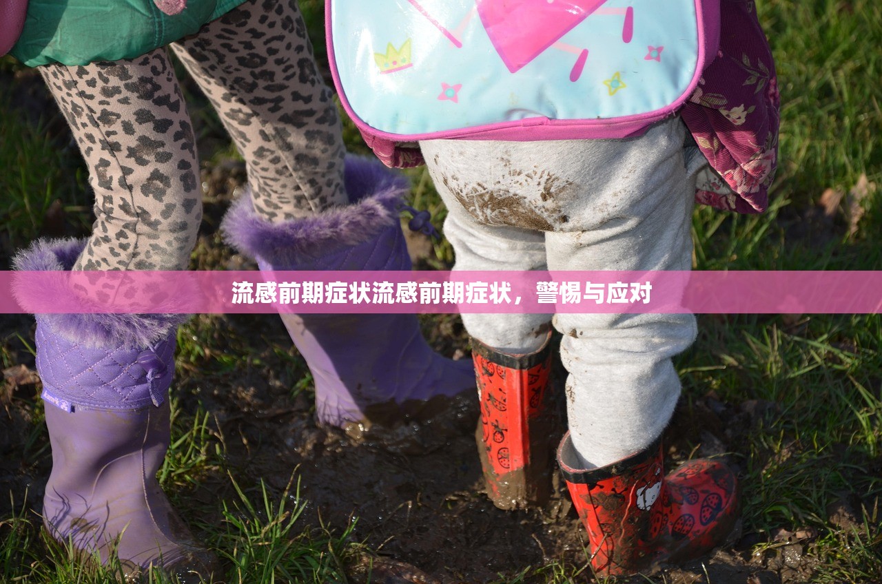 流感前期症状流感前期症状,警惕与应对 第1张 流感前期症状流感前期症状,警惕与应对 第1张