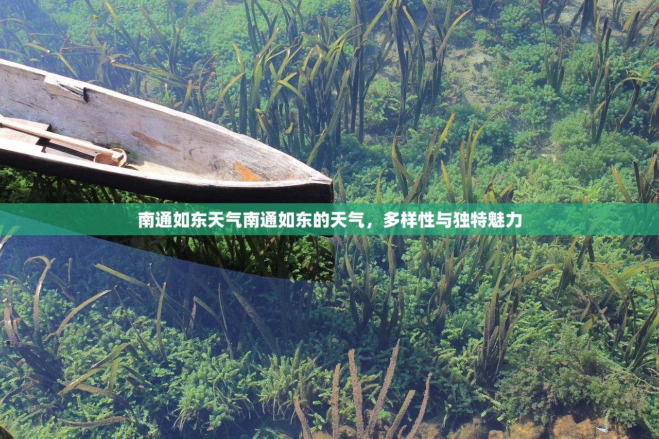 南通如东天气南通如东的天气，多样性与独特魅力  第1张