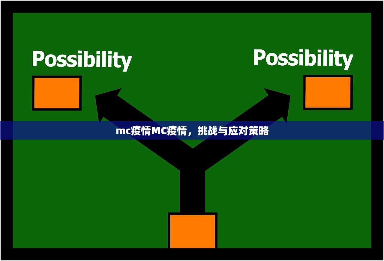 mc疫情MC疫情，挑战与应对策略  第1张