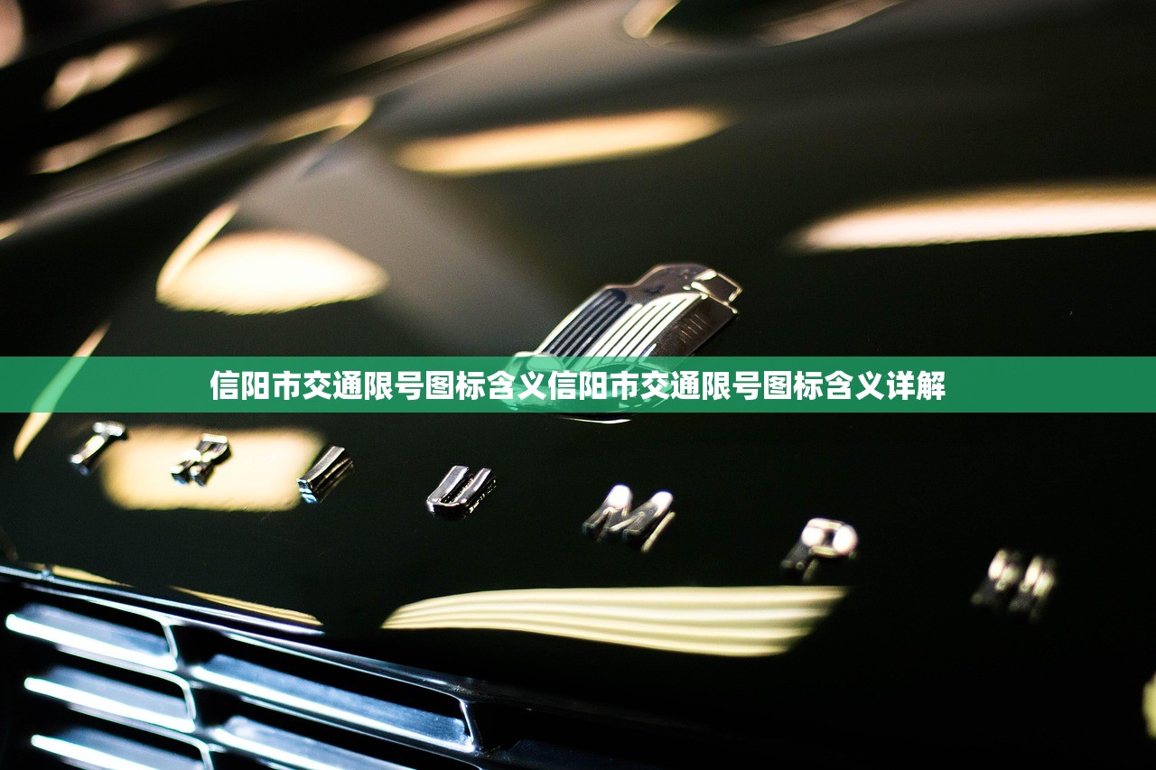 信阳市交通限号图标含义信阳市交通限号图标含义详解  第1张