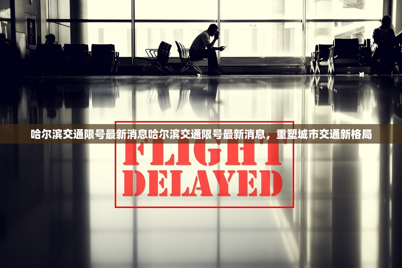 哈尔滨交通限号最新消息哈尔滨交通限号最新消息，重塑城市交通新格局  第1张