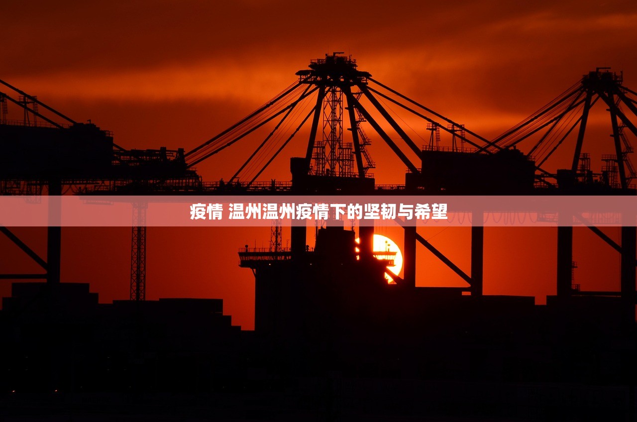 疫情 温州温州疫情下的坚韧与希望  第1张