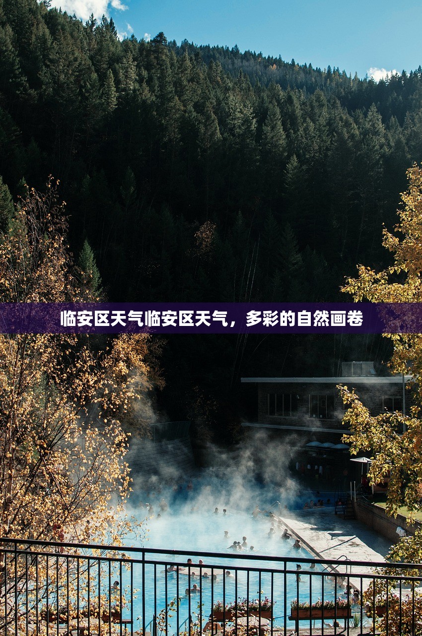 临安区天气临安区天气，多彩的自然画卷  第1张