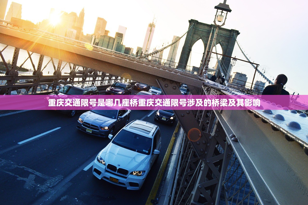 重庆交通限号是哪几座桥重庆交通限号涉及的桥梁及其影响  第1张