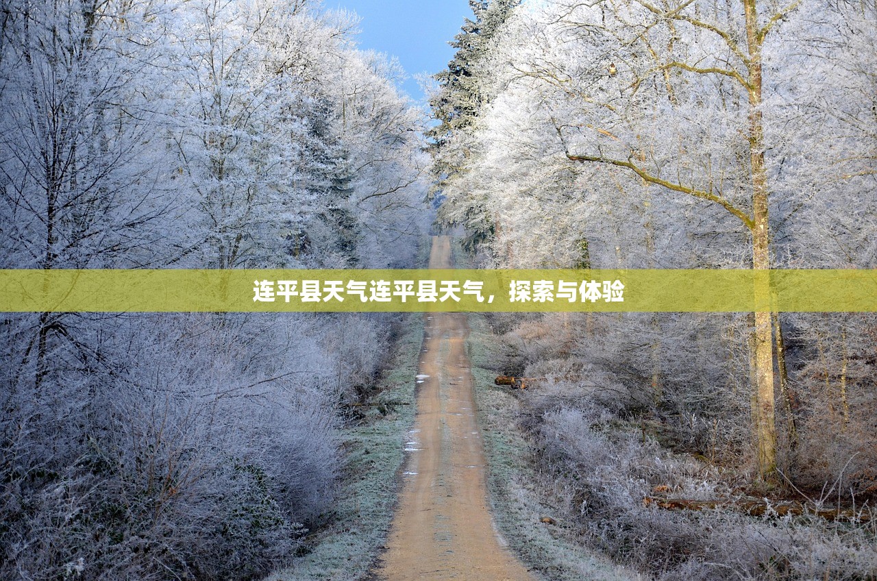 连平县天气连平县天气，探索与体验  第1张