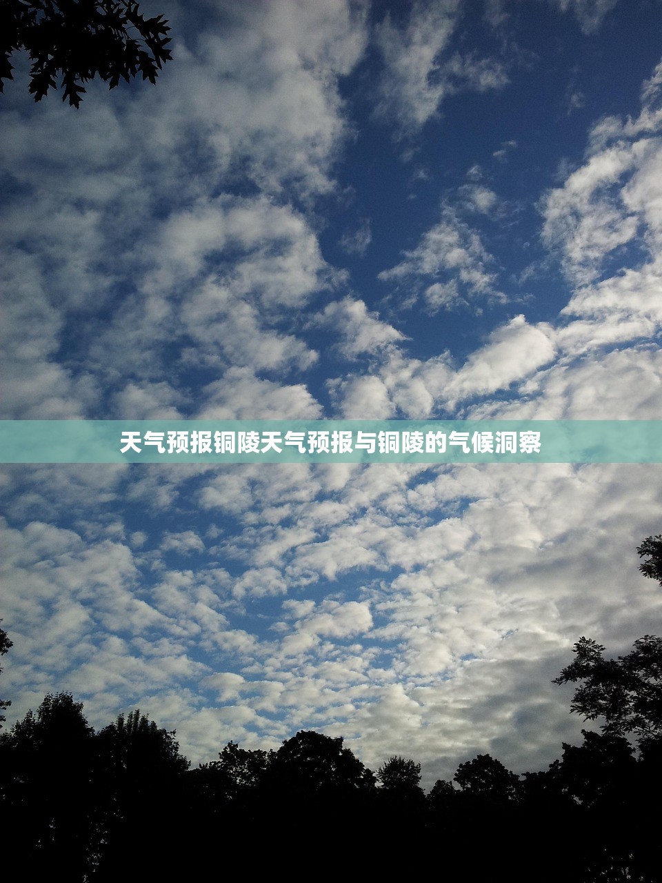 天气预报铜陵天气预报与铜陵的气候洞察  第1张