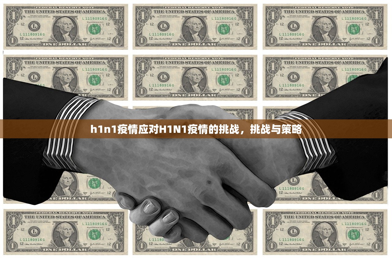 h1n1疫情应对H1N1疫情的挑战，挑战与策略  第1张