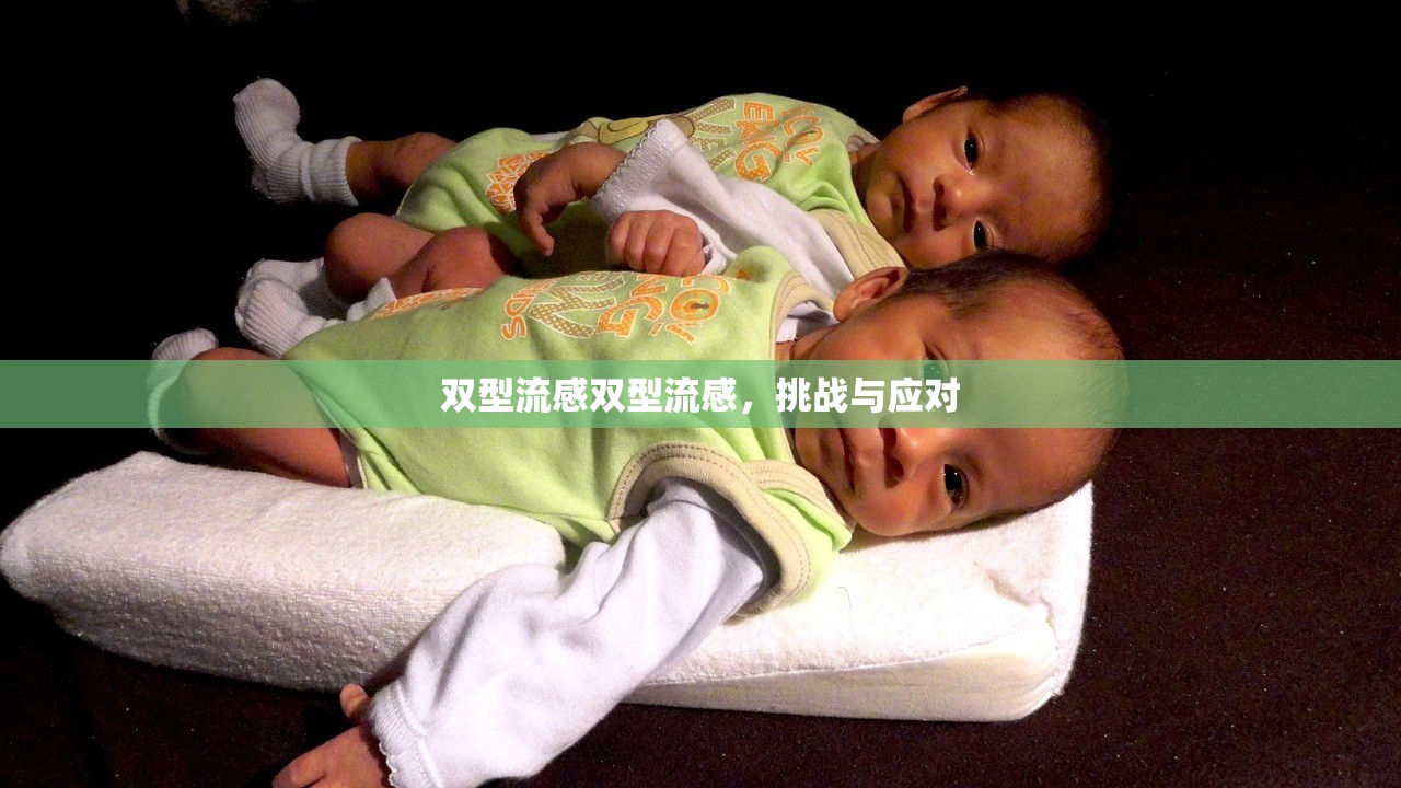 双型流感双型流感，挑战与应对  第1张