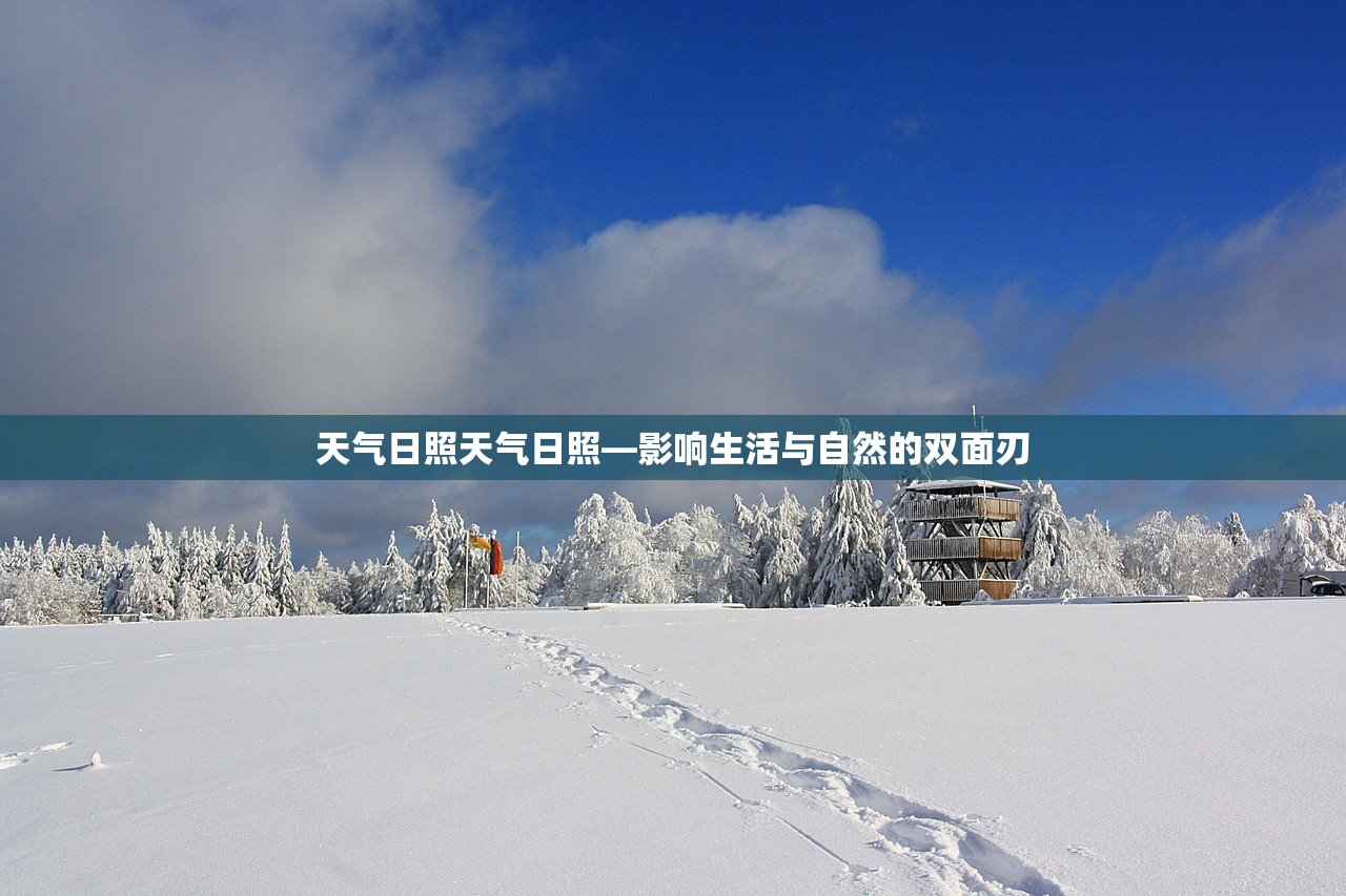 天气日照天气日照—影响生活与自然的双面刃  第1张