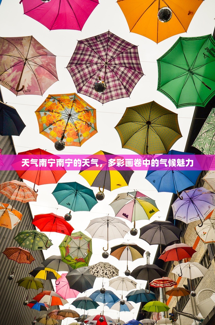 天气南宁南宁的天气，多彩画卷中的气候魅力  第1张