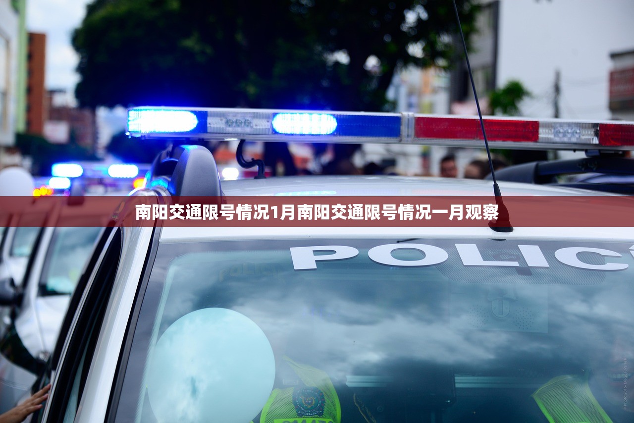 南阳交通限号情况1月南阳交通限号情况一月观察 第1张 南阳交通限号情况1月南阳交通限号情况一月观察 第1张